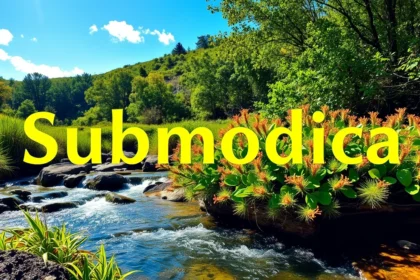 submodica
